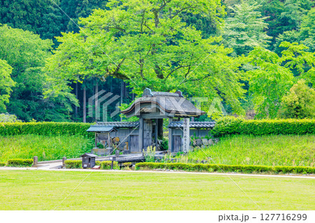 初夏の一乗谷朝倉氏遺跡　福井県福井市 127716299