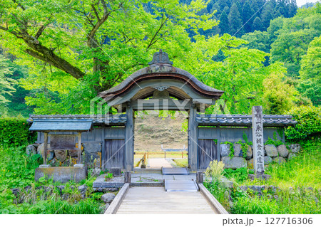 初夏の一乗谷朝倉氏遺跡　福井県福井市 127716306