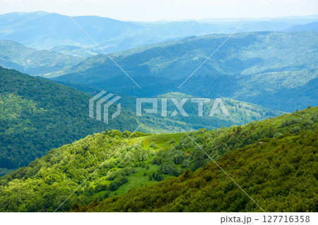 wonderful mountain landscape for travel with green hill in summer. nature scenery with scenic view in to the distant valley of carpathians in dappled light. hiking through transcarpathia highland 127716358