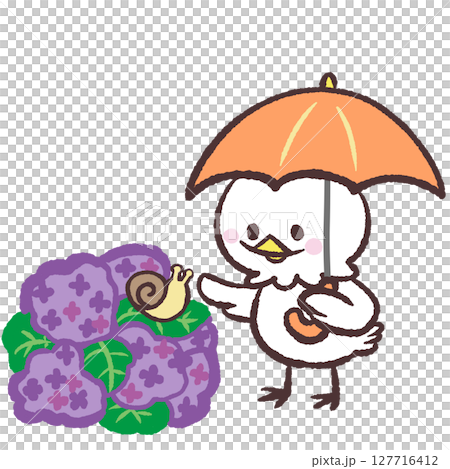 繡球花和白鳥的插圖 127716412