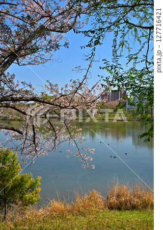 《愛知県》長久手市　杁ヶ池公園の桜 127716421