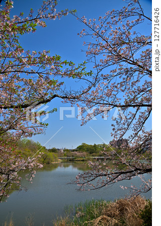 《愛知県》長久手市　杁ヶ池公園の桜 127716426
