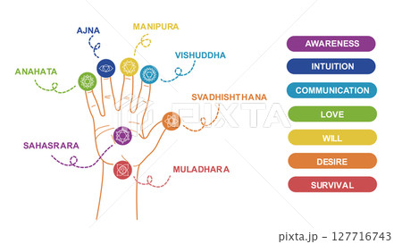 Chakra on Hand Palm Infographic Vector Illustration Chakra on Hand Palm Infographic Vector Illustration 127716743