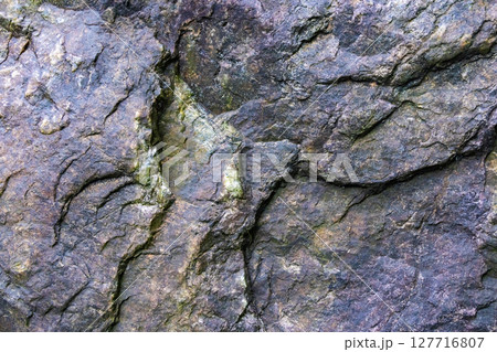 岩石の表面 127716807
