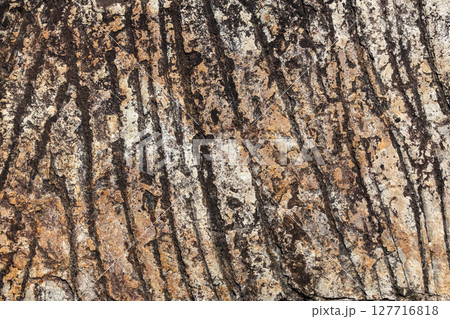 岩石の表面 127716818