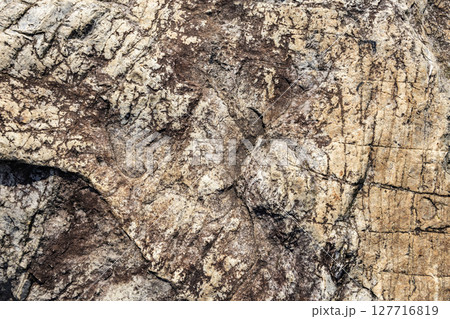 岩石の表面 127716819