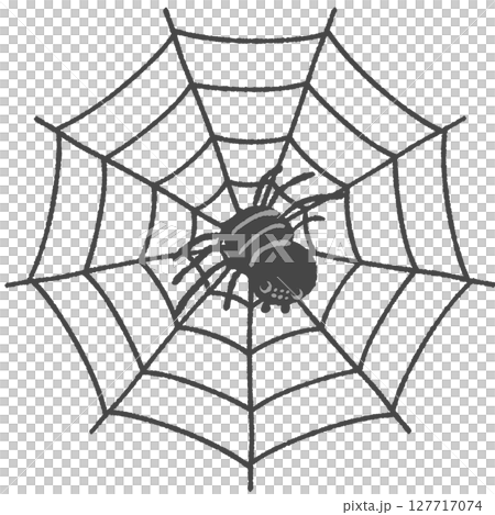 蜘蛛網中心的網路蜘蛛插圖 127717074