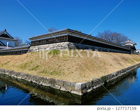 勝竜寺城公園 127717156