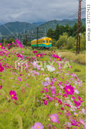 コスモスに囲まれた鉄道の風景 127717413