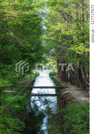 Gyeongbuk Millennium Forest Garden 127717675