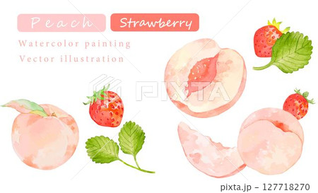 水彩で描いた桃とイチゴのベクターイラスト 127718270