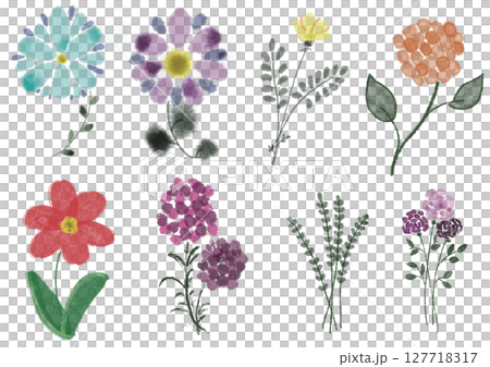 彩色花卉手繪插畫集 127718317