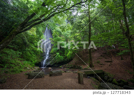 新緑に包まれる琴滝(京都府船井郡京丹波町) 新緑に包まれる琴滝(京都府船井郡京丹波町) 127718343
