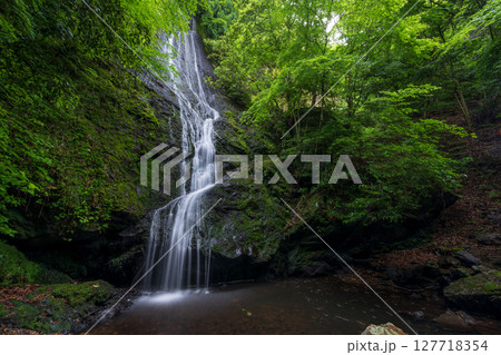 新緑に包まれる琴滝（京都府船井郡京丹波町） 127718354