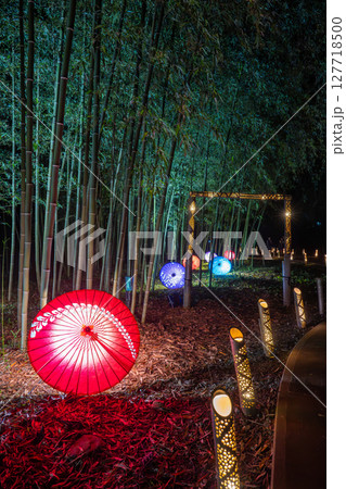 竹林でライトアップされた竹灯籠と和傘（群馬・藤岡　高山社跡） 127718500