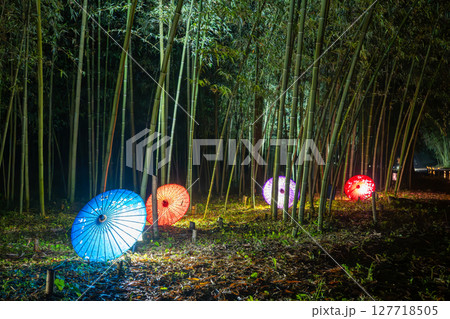 竹林でライトアップされた和傘（群馬・藤岡　高山社跡） 127718505