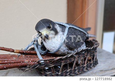 カゴに入っている鳩の置物 カゴに入っている鳩の置物 127718982