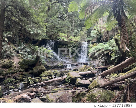 オーストラリア・タスマニア・マウントフィールド国立公園にあるホースシュー滝 127718987