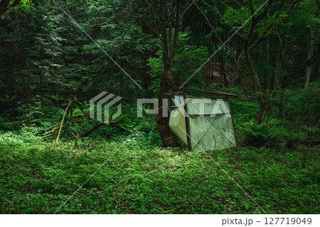 神秘的な森と廃棄物 127719049