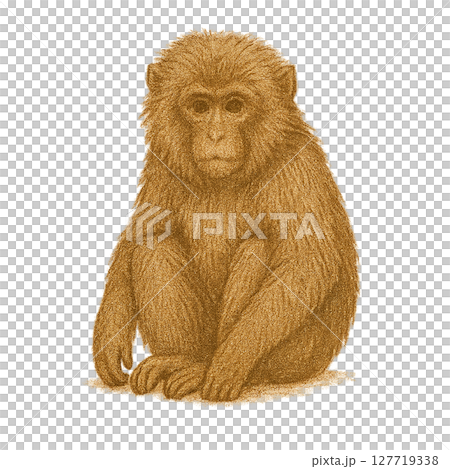 動物插圖 127719338