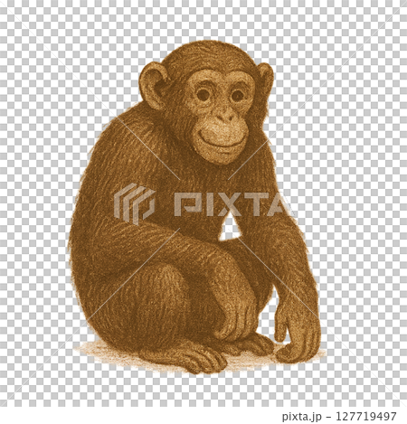 動物のイラスト素材 127719497