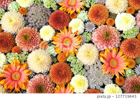 花手水 花手水 127719643