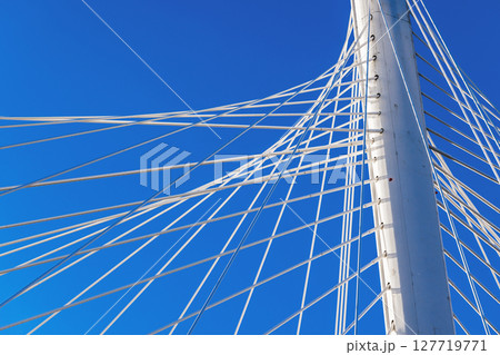 Detailed view of cable-stayed bridge architecture with taut cables under blue sky 127719771