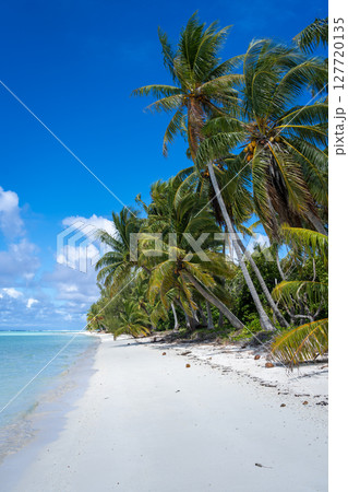 Idyllic white sand beach with coconut trees in Maupiti, French Polynesia 127720135