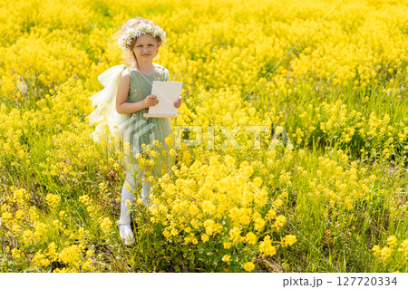 Wide shot portrait of imaginative child girl in fairy attire and floral headpiece posing with blank canvas amid golden wildflower meadow, sunlight illuminating scene, smiling looking at camera. Wide shot portrait of imaginative child girl in fairy attire and floral headpiece posing with blank canvas amid golden wildflower meadow, sunlight illuminating scene, smiling looking at camera. 127720334