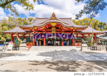 西宮神社（えびす神社の総本社）拝殿　西宮のえべっさん　裏千家献茶式　 127720379