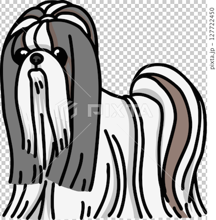 シーズー　カラー　背景透過　犬のイラスト 127722450