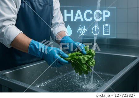 Worker washing lettuce in food processing sink wearing blue gloves under HACCP food safety standards with digital hygiene and checklist icons 127722827