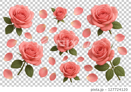 Png set of red rose petals and flowers isolated on transparent background. concept of floral design, romantic decoration, beautiful botanical elements for creative projects. Png set of red rose petals and flowers isolated on transparent background. concept of floral design, romantic decoration, beautiful botanical elements for creative projects. 127724120