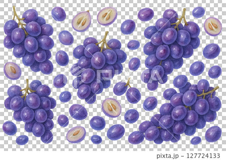 Png watercolor grape pattern with purple grapes and slices isolated on transparent background. concept of fruit decor, vineyard design, botanical elements, editable grape illustration 127724133