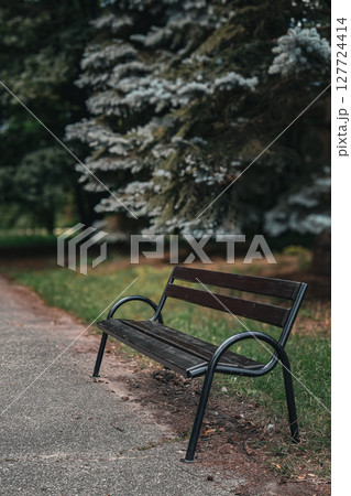 Empty dark wooden park bench stands wet on paved path, bordered by green grass, evergreen trees, creating serene atmosphere in quiet outdoor space Empty dark wooden park bench stands wet on paved path, bordered by green grass, evergreen trees, creating serene atmosphere in quiet outdoor space 127724414