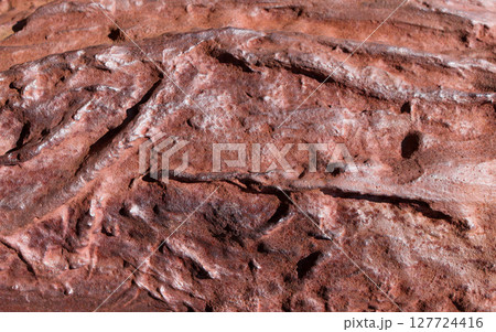 Vibrant reddish-brown rock surface displays deeply textured formations and natural patterns, ideal for rugged backdrops conveying strength and ancient geological beauty Vibrant reddish-brown rock surface displays deeply textured formations and natural patterns, ideal for rugged backdrops conveying strength and ancient geological beauty 127724416