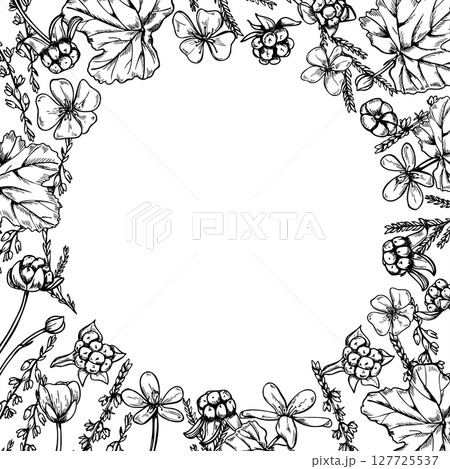 Cloudberries and heather branches square monochrome vector frame with blank space for text. Nordic berry etching drawing for medicinal product packaging, healthcare infographic, phytotherapy branding. Cloudberries and heather branches square monochrome vector frame with blank space for text. Nordic berry etching drawing for medicinal product packaging, healthcare infographic, phytotherapy branding. 127725537
