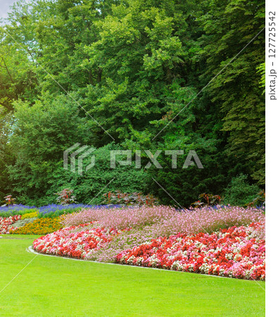 Summer garden with beautiful flowerbeds. Summer garden with beautiful flowerbeds. 127725542