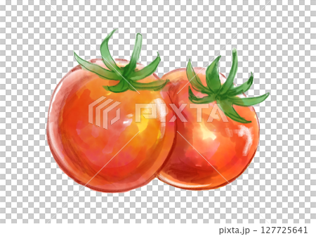 Hand-drawn watercolor illustration of fresh and delicious ripe cherry tomatoes Hand-drawn watercolor illustration of fresh and delicious ripe cherry tomatoes 127725641