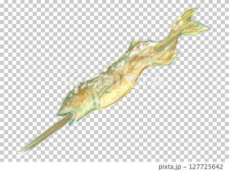 手繪水彩插圖的美味烤鹹魚 127725642