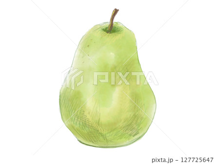 新鮮採れたてで美味しそうな洋梨の水彩イラスト 127725647