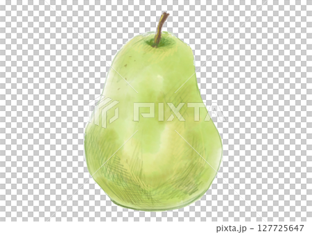 新鮮採れたてで美味しそうな洋梨の水彩イラスト 127725647
