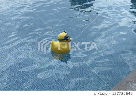rubber inflatable toy floating in blue pool, clear water 127725649