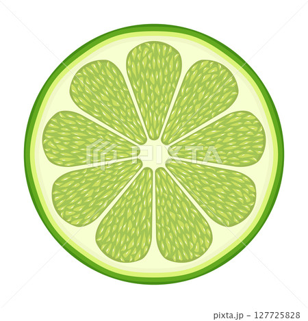 Fresh Lime Slice Vector Illustration. The lime is segmented into symmetrical sections with a juicy texture and light green pulp. Fresh Lime Slice Vector Illustration. The lime is segmented into symmetrical sections with a juicy texture and light green pulp. 127725828