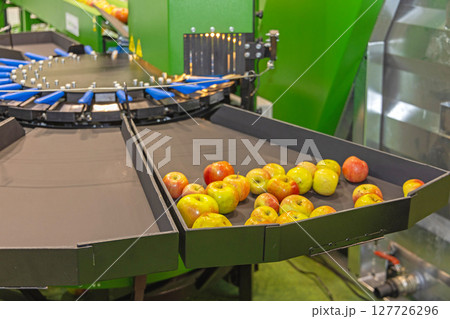 Apple Sorting Machine 127726296