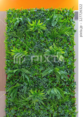 Green Vertical Garden Green Vertical Garden 127726322