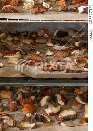 Boletus mushrooms drying in the oven 127727570