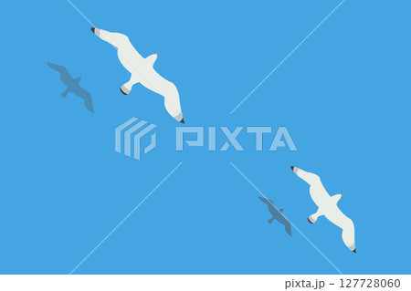 Two seagulls soar over the surface of the sea or ocean. Shadows of the birds are reflected in the water. 127728060