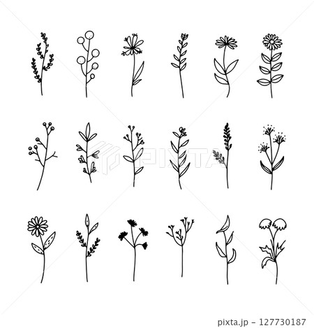 Modern Bloom Composition. A vertical arrangement of bold and minimal blooms with clear lines and stylized forms, ideal for impactful branding and prints. 127730187