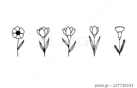 Hand drawn Floral Row. A horizontal arrangement of soft, line-drawn flower motifs with a natural rhythm and airy structure, great for headers or borders. 127730191